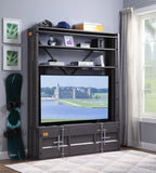Industrial Cargo Bookshelf with Removable Ladder & TV Stand Base – Gunmetal Container Style Storage Acme Furniture