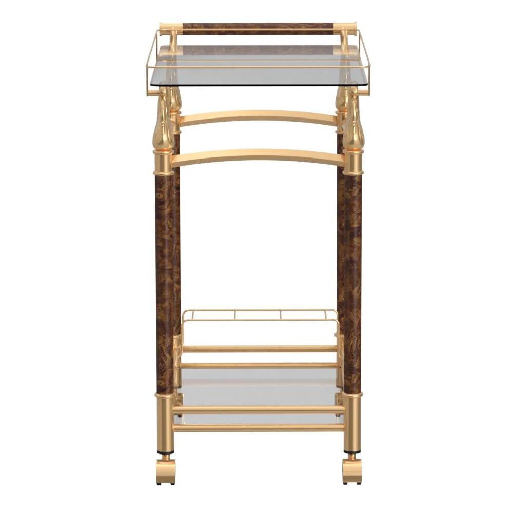 Rectangular Serving Bar Cart in Gold Plated and Clear